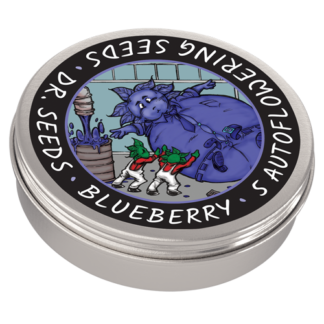 Blueberry Autoflowering Cannabis Seeds