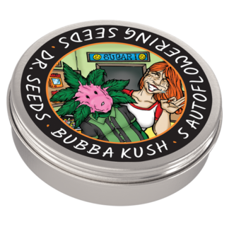 Bubba Kush Autoflowering Feminized Seeds (5 cannabis seeds)