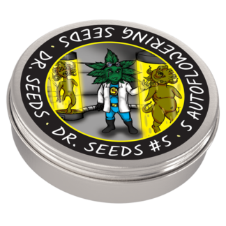 Dr Seeds 5 Autoflowering Cannabis Seeds