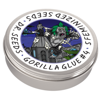 Gorilla Glue #4 Photoperiod Feminized Seeds