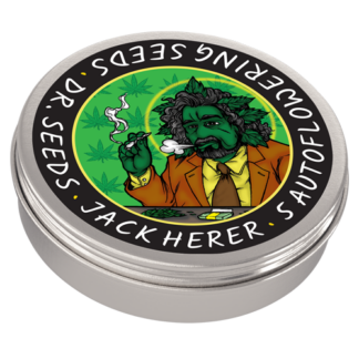 Jack Herer Autoflowering Seeds