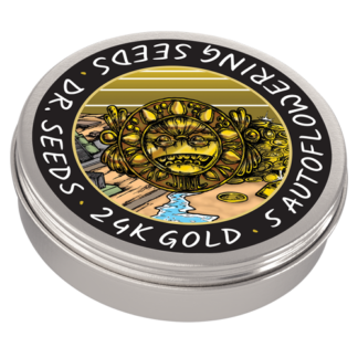 24K Gold Autoflowering Feminized Seeds - 20 Seeds Value Pack