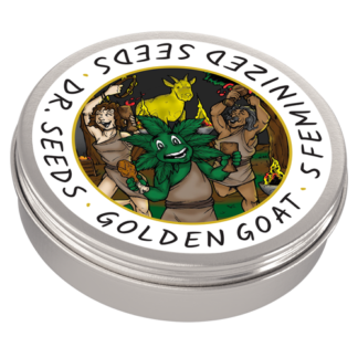 Golden Goat Feminized Cannabis Seeds
