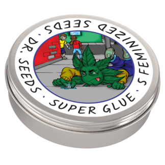 Super Glue Feminized Cannabis Seeds