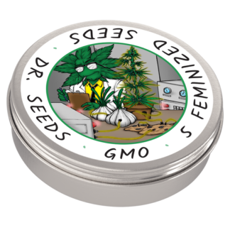 GMO Feminized Cannabis Seeds