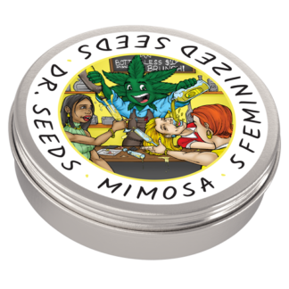 Mimosa Feminized Cannabis Seeds