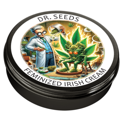 Irish Cream Feminized Seeds