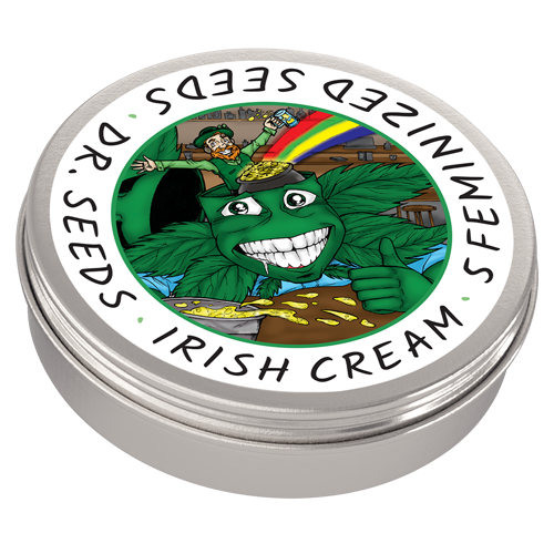 🍀 Buy Feminized Irish Cream Cannabis Seeds - High Quality Strain