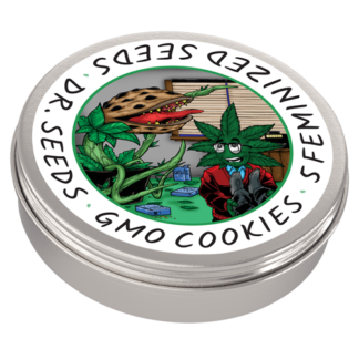 Feminized GMO Cookies Cannabis Seeds