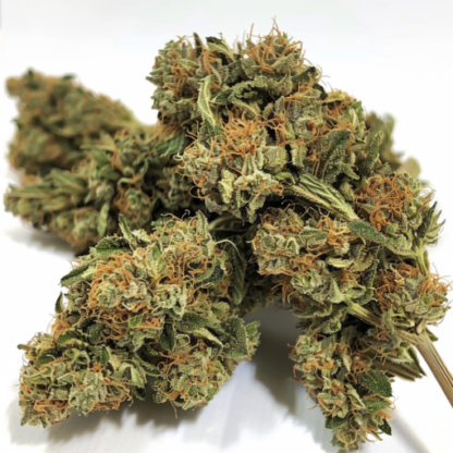 Gorilla Glue 4, Feminized Seeds - Image 7