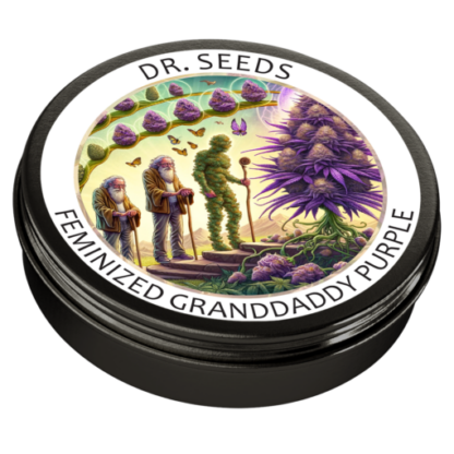 Grandaddy Purple Feminized Seeds