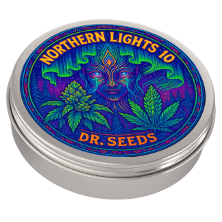 Northern lights 10 