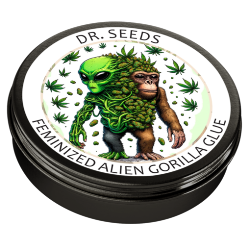 Alien Gorilla Glue Feminized Seeds