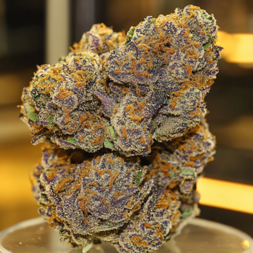 Girl Scout Cookies Autoflowering Seeds - Image 5