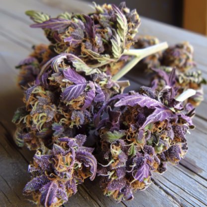 Purple Haze Feminized Seeds - Image 2