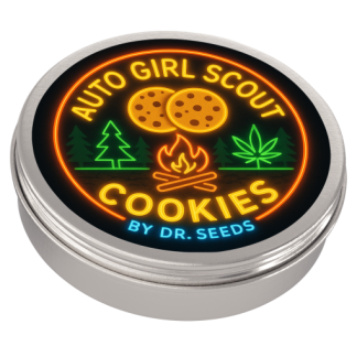 Autoflower girl scout cookies 3