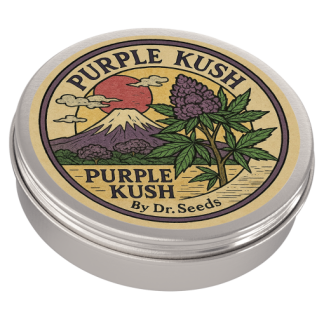 Blueberry and lemon haze autoflowering feminized seeds recovered