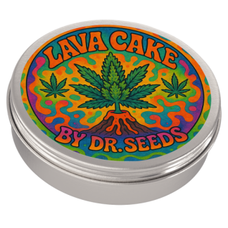 Lava cake