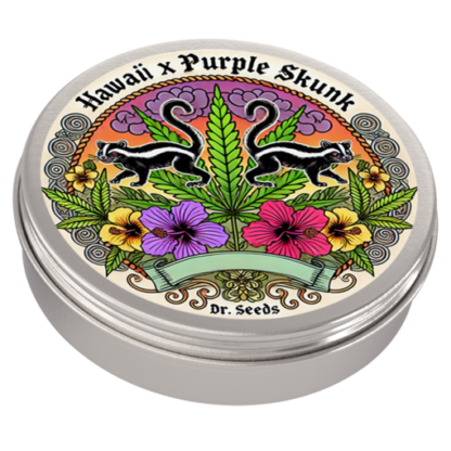 Hawaii X Purple Skunk Feminized Seeds