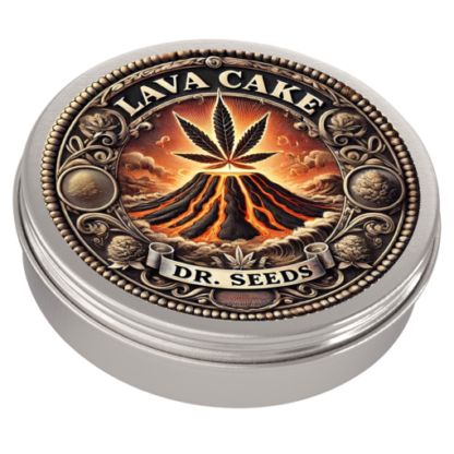 Lava Cake Feminized Seeds