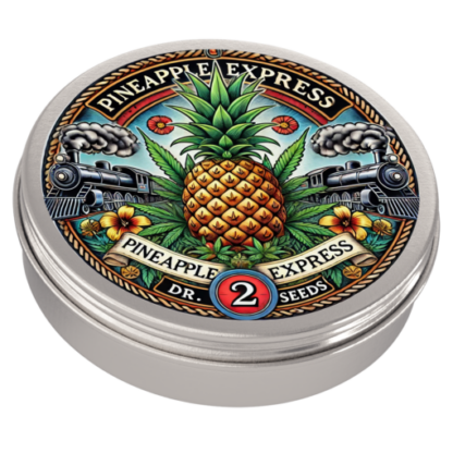 Pineapple Express 2 Feminized Seeds