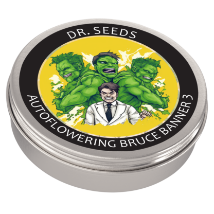 Auto Bruce Banner