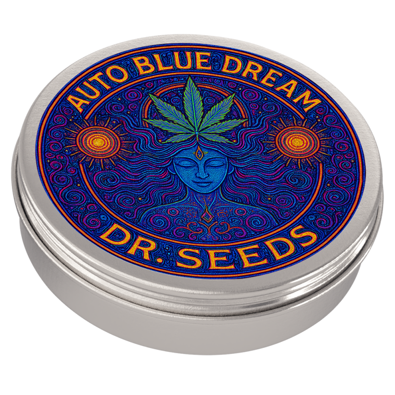 Blue dream autoflowering alternative