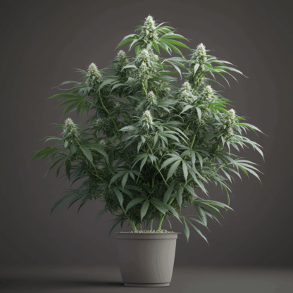 Adamxhunterxxx a photorealistic image of a mature big white w fe0a5013 ce9c 4153 8863 14eafe0e9123 3