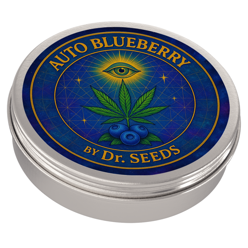 Autfolowering blueberry