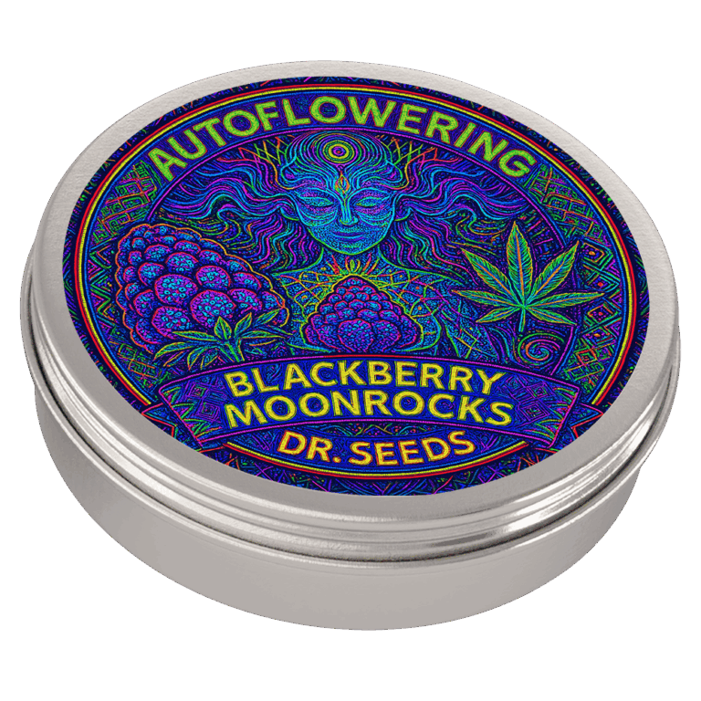 Buy Blackberry Moonrocks Feminized Seeds | Dr. Seeds