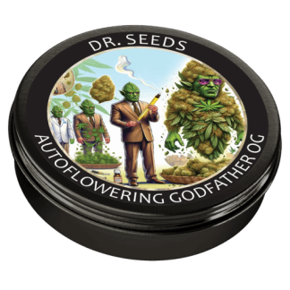 Godfather og autoflowering seeds