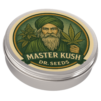 Buy Master Kush Feminized Seeds | Dr. Seeds