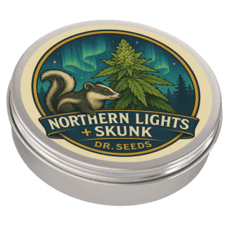 Northern lights x skunk