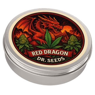 Red dragon