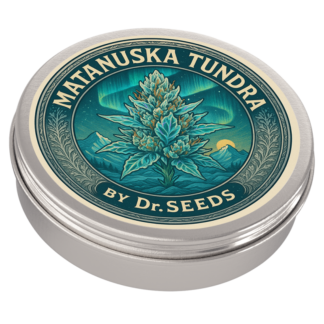 Matanuska Tundra Feminized Seeds