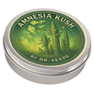 Amnesia kush