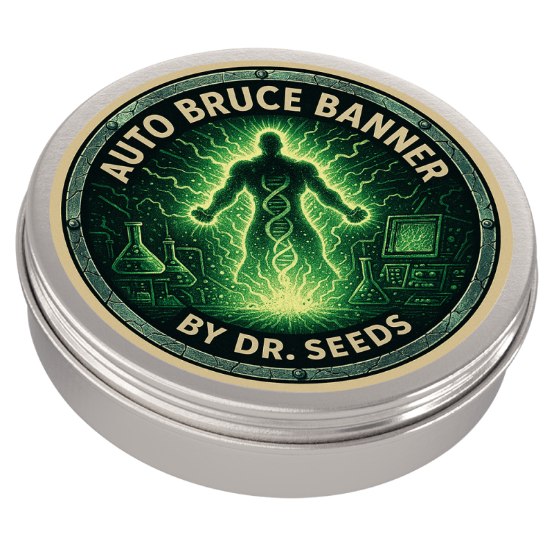 Auto bruce banner2