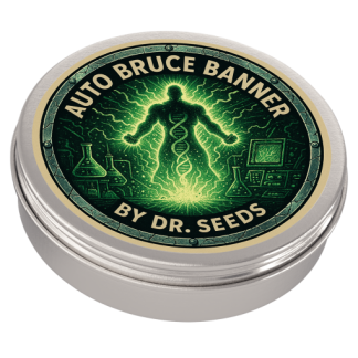 Auto bruce banner2