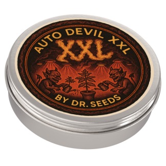 Auto devil xxl