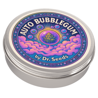 Autoflowering bubblegum