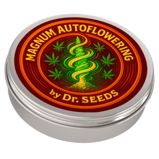 Autoflowering magnum2