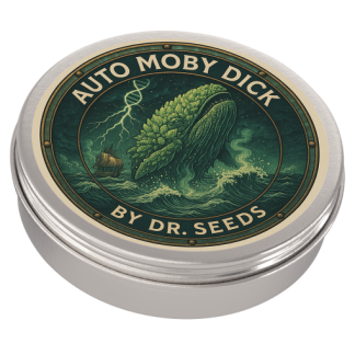 Autoflowering moby dick feminized seeds