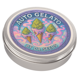 Autoflowerting gelato
