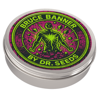Bruce banner 2