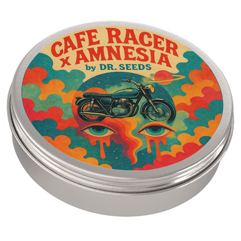 Cafexamnesia