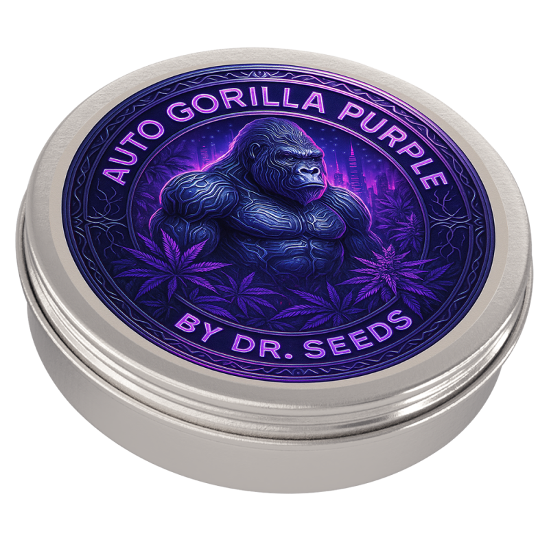 Gorilla purple