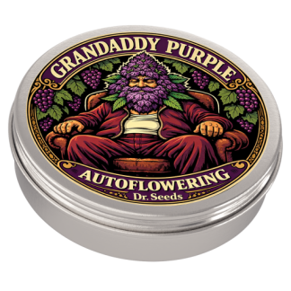 Grandaddy purple
