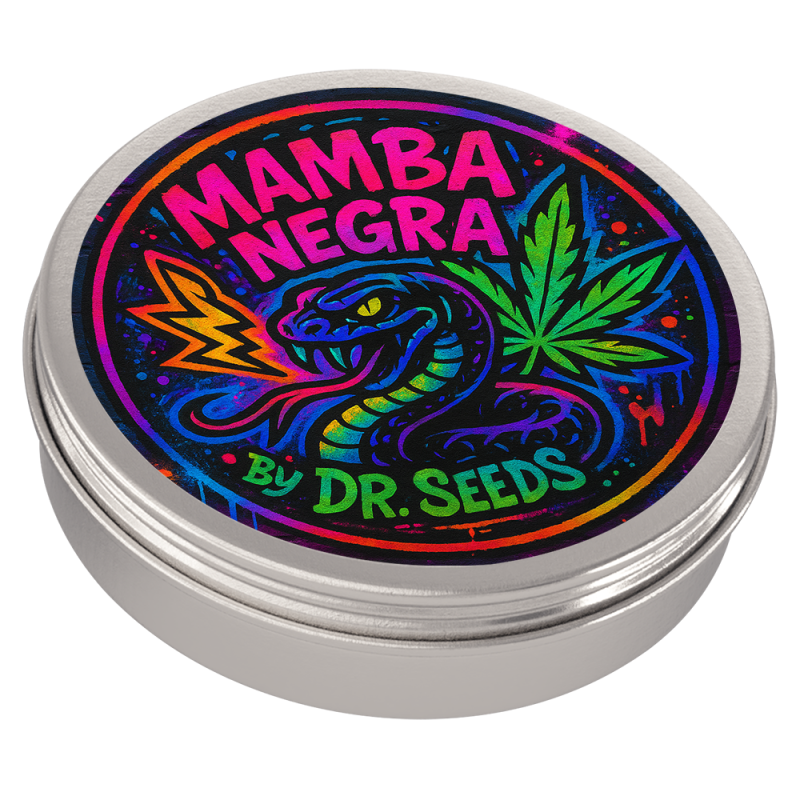 Mamba