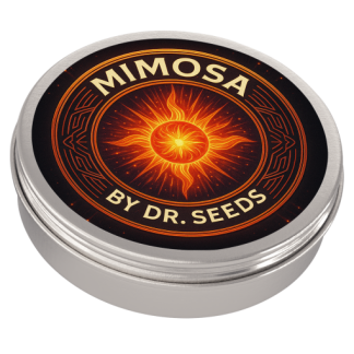 Mimosa feminized seeds2