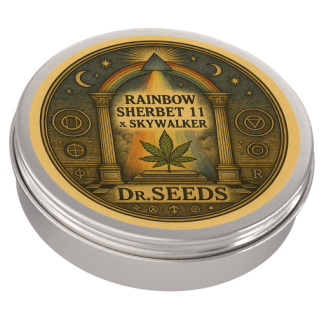 Rainbow sherbert x skywalker